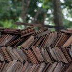 Durabilitatea șindrilei vechi din lemn de Suceava
